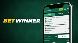 Explore the BetWinner Online Gambling Platform A Comprehensive Guide