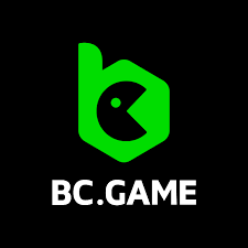 Complete Guide to the BC.Game KZ Registration Process